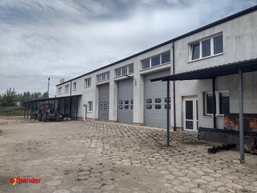 Lokal Chmielów