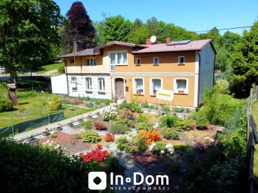 Dom DAMNO