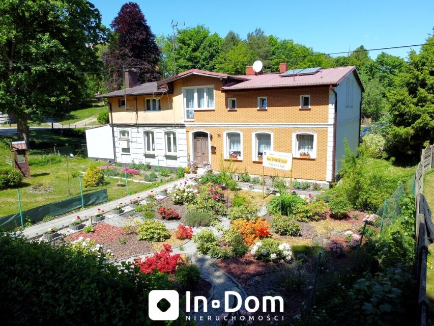 Dom DAMNO
