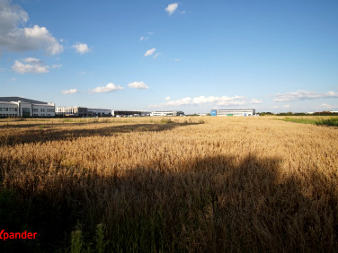 Działka inwestycyjna Łąka