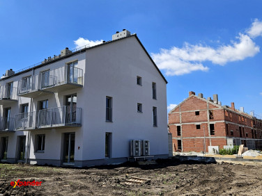 Mieszkanie Iwiny