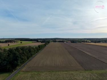 Działka inwestycyjna Syberia