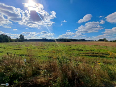 Działka budowlano-rolna Chmielnik sprzedam