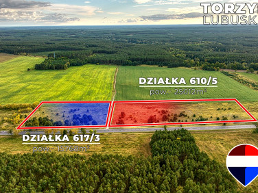 Działka rolna Torzym