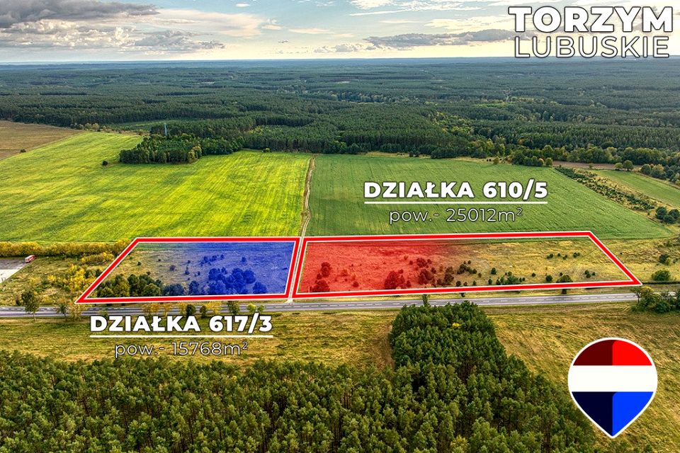 Działka rolna Torzym