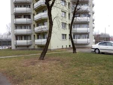 Lokal Katowice