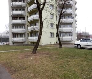 Lokal Katowice