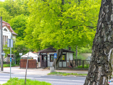 Lokal Gdańsk