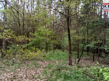 Działka Zaręby