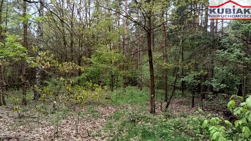 Działka Zaręby