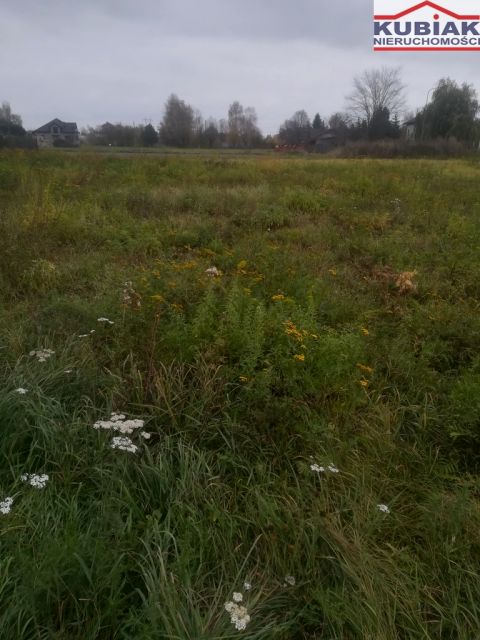 Działka rolna Radzików