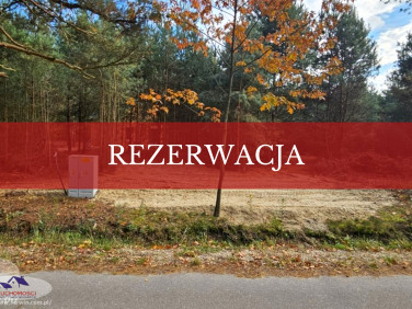 Działka Czarnawa