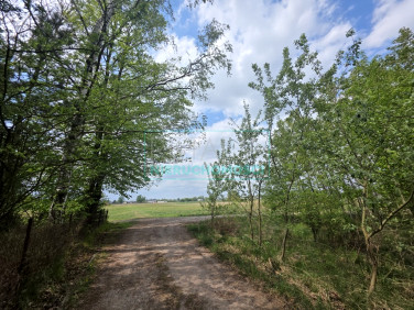Działka budowlana Chrzanów Mały