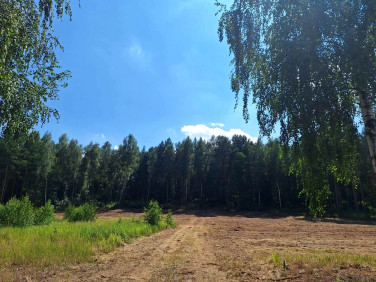 Działka inna Ruda