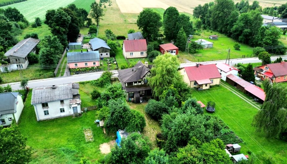 Zdjęcie 3
