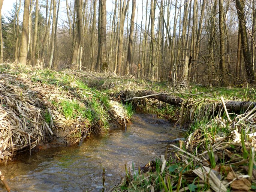 Działka Brzyczyna