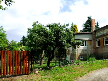 Dom Konin