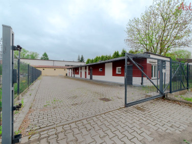 Lokal Tychy