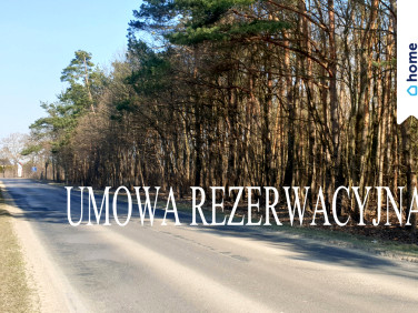 Działka przy lesie