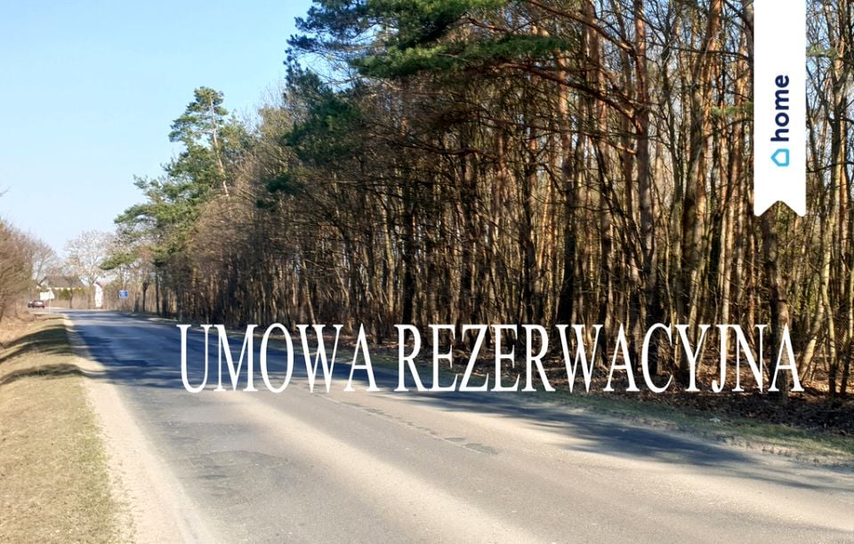 Działka przy lesie