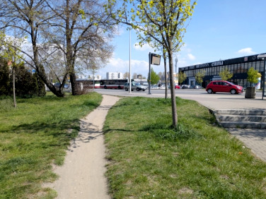 Lokal Opole