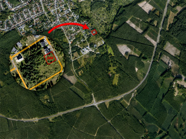 Działka przy lesie