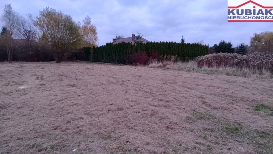 Zdjęcie 2