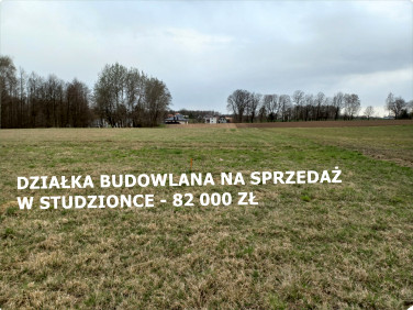 Działka przy lesie