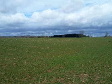 Działka budowlana Donimierz