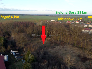 Działka Dzietrzychowice