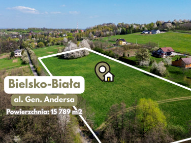 Działka przy lesie