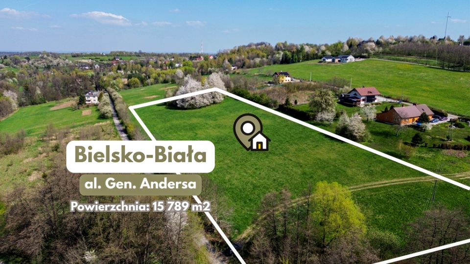 Działka przy lesie