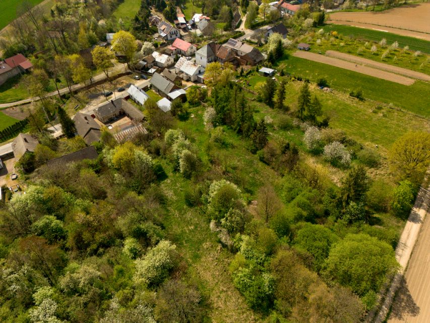 Dom Lisięcice