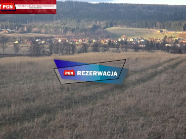 Działka Szczytna