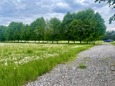 Działka Mników