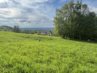 Działka Roczyny