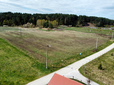 Działka rolno-leśna Ostrów