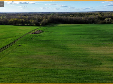 Działka inna Bramka