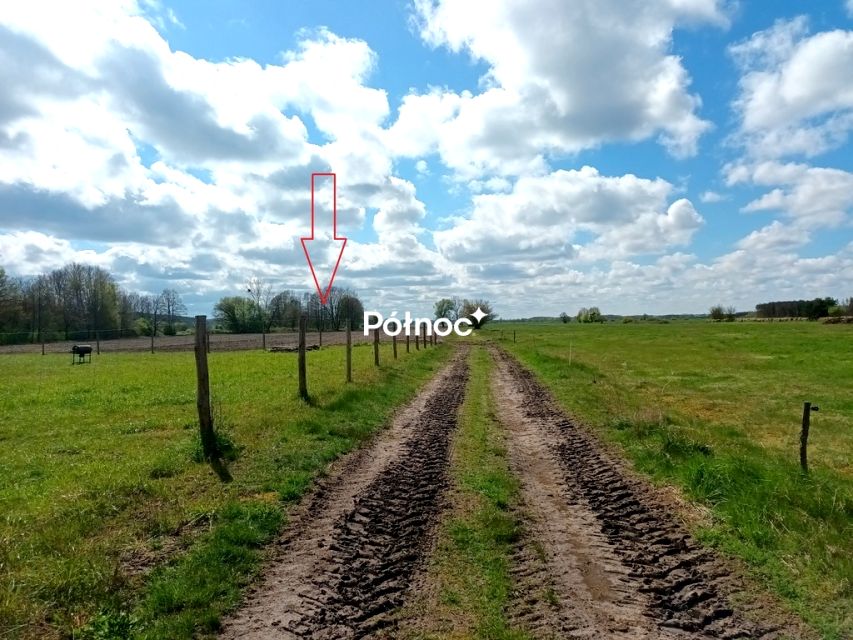 Działka siedliskowa CZŁUCHY
