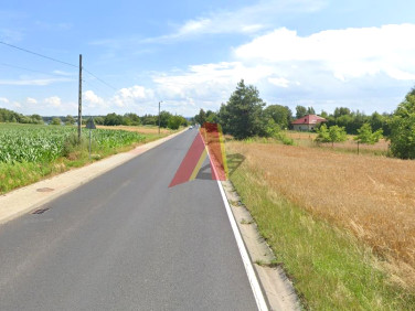 Działka budowlana Cholerzyn