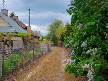 Działka budowlana grudów