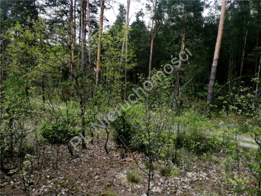 Działka Kąty-Borucza