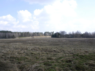 Działka rolna Bukowice