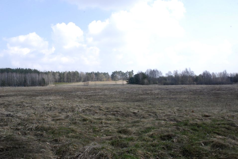 Działka rolna Bukowice