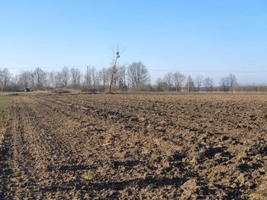 Działka Lubsza