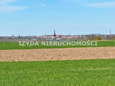 Pusta działka Boleścin