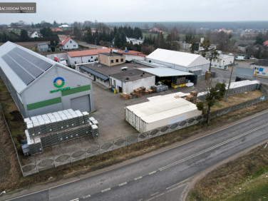 Lokal Ciechocin