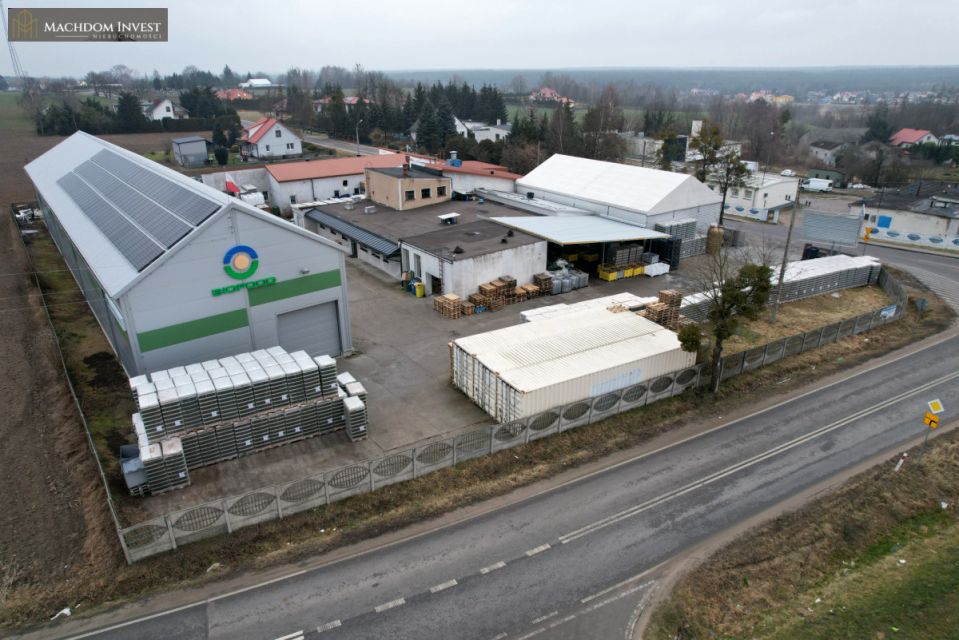 Lokal Ciechocin