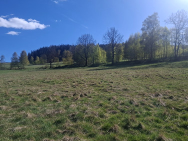 Działka budowlana Kletno