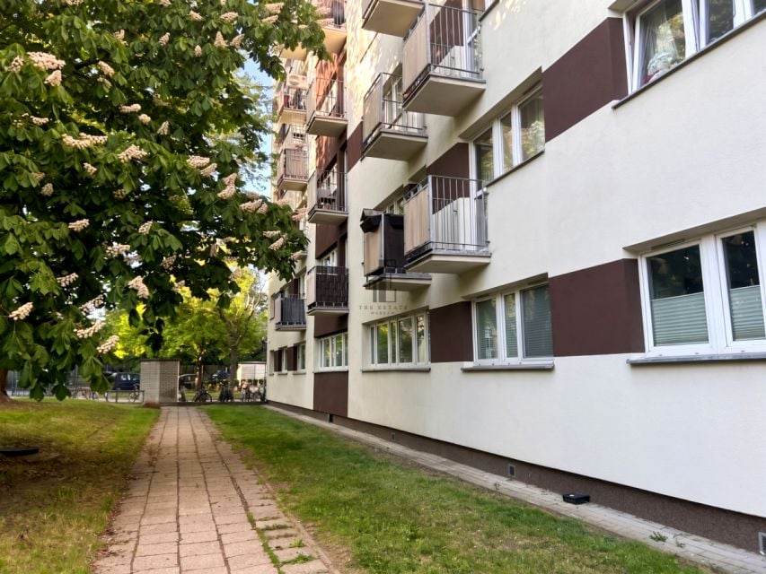 Zdjęcie 3
